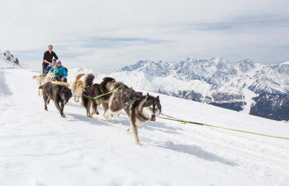 Dog Sledding In Verbier