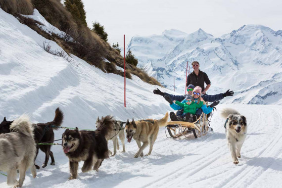 Dog Sledding In Verbier